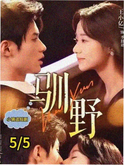 迷雾小城 悬疑剧集免费在线观看